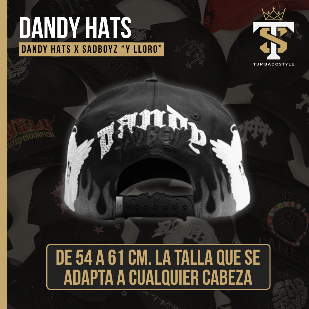 Dandy Hats x SadBoyz "Y Lloro"